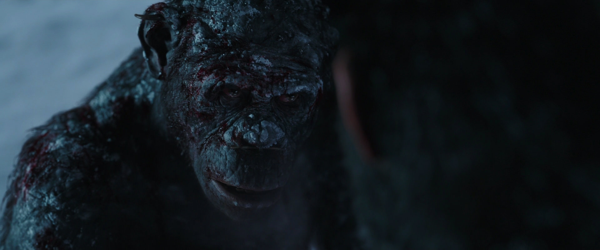 War for the Planet of the Apes (2017) HD screenshot 7091