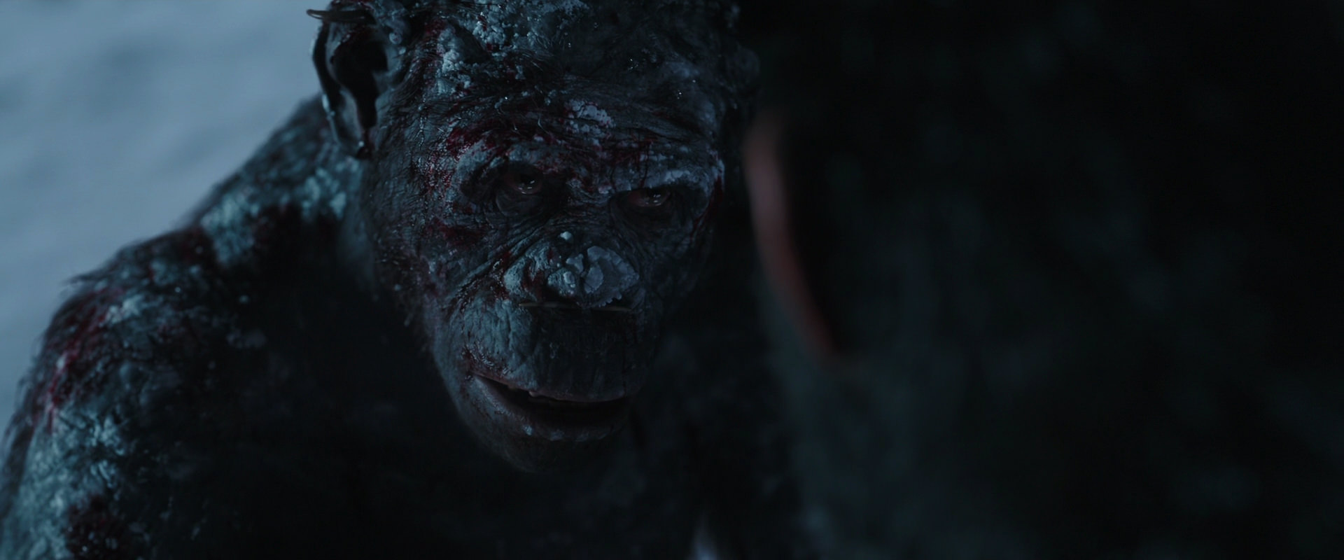 War for the Planet of the Apes (2017) screencap 7092