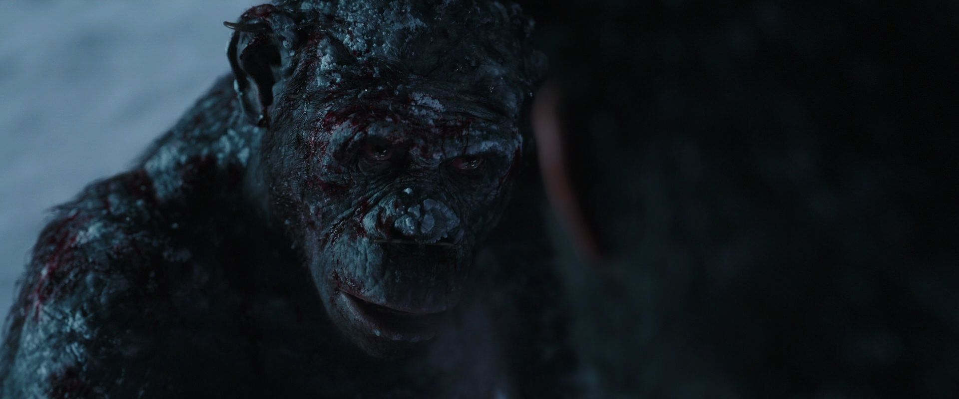 War for the Planet of the Apes (2017) movie still 7093