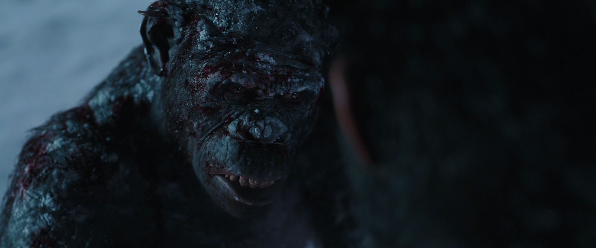 War for the Planet of the Apes (2017) screencap 7095