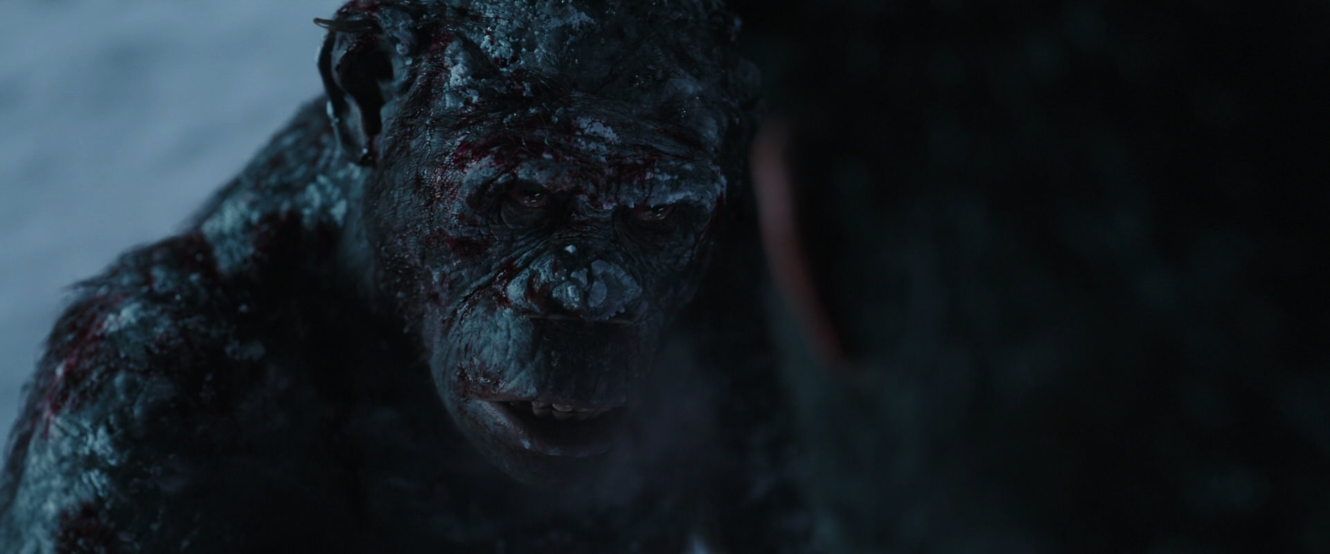 War for the Planet of the Apes (2017) HD screenshot 7097