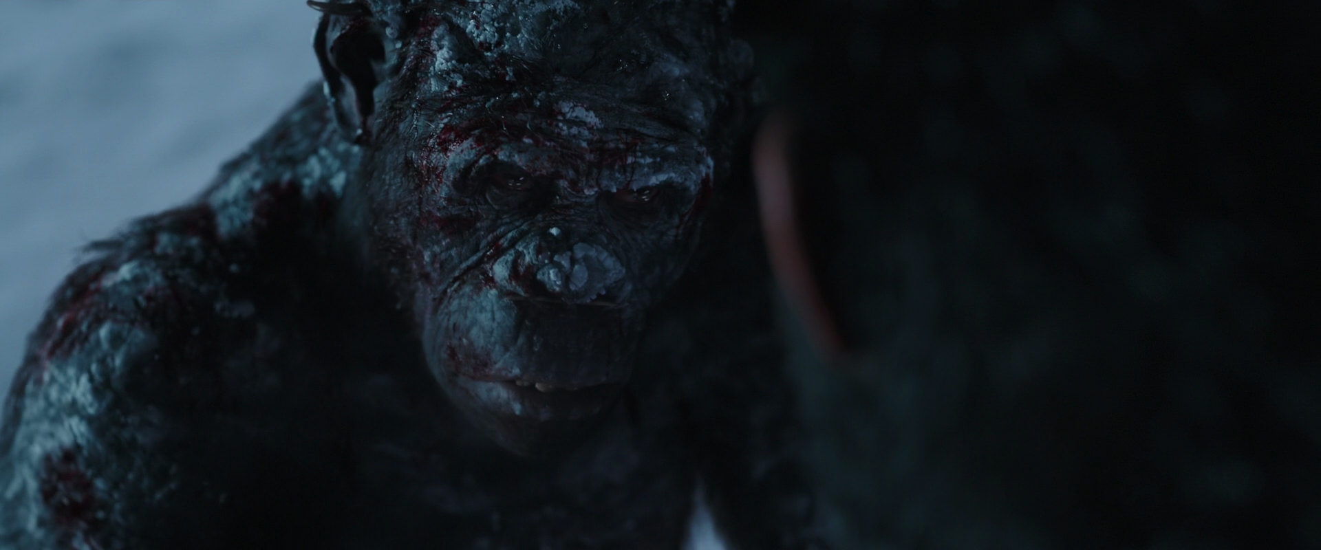 War for the Planet of the Apes (2017) screencap 7101
