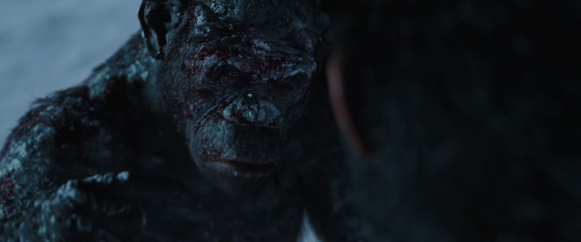 War for the Planet of the Apes (2017) HD screenshot 7103