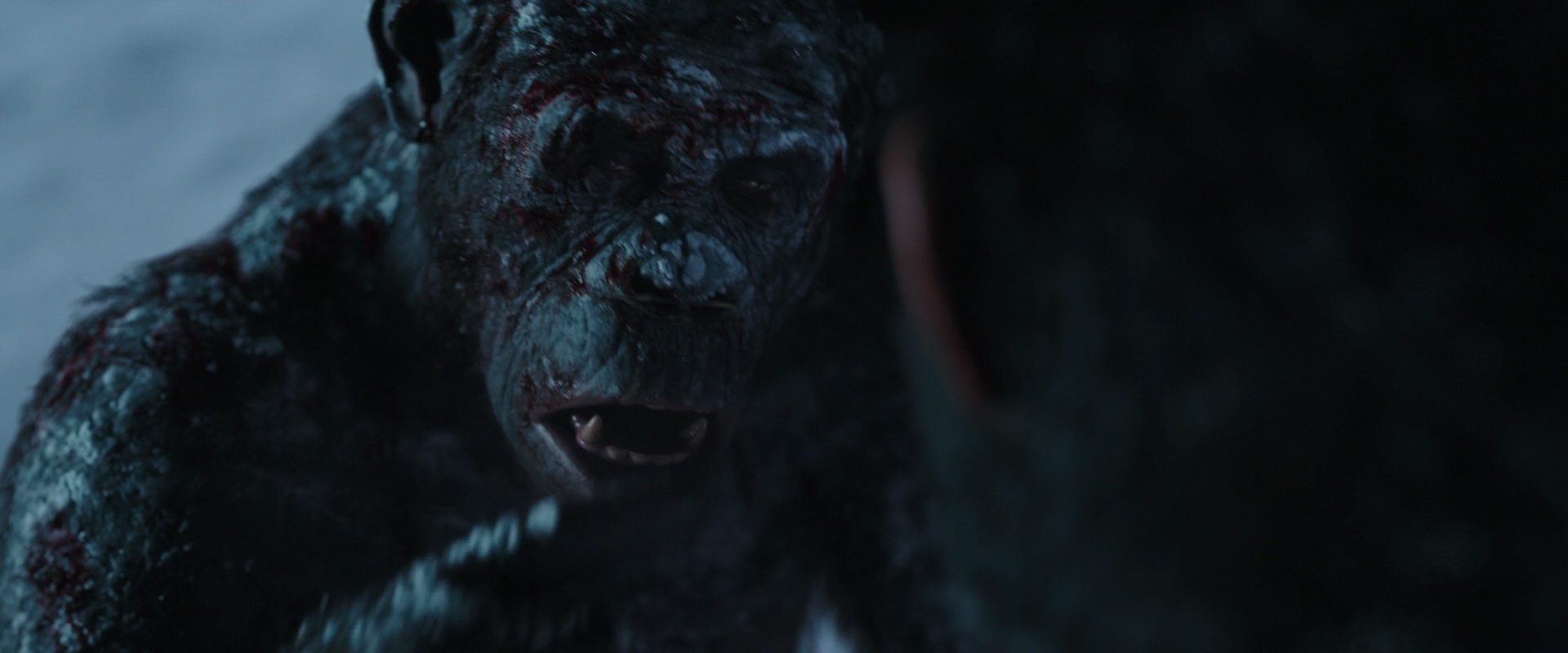 War for the Planet of the Apes (2017) screencap 7107
