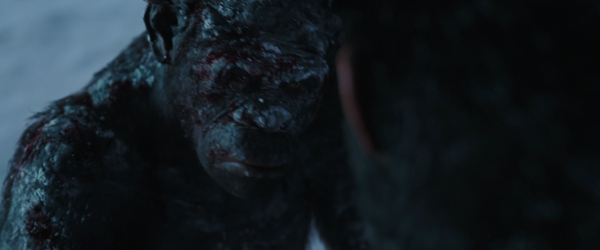 War for the Planet of the Apes (2017) HD screenshot 7109