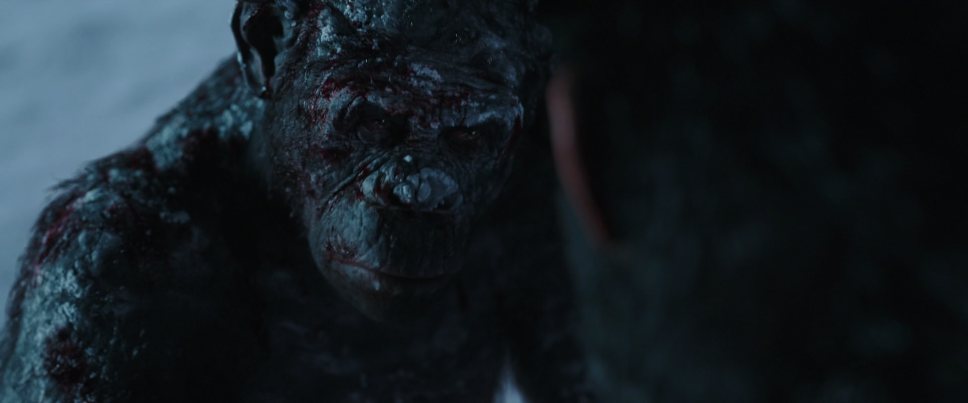 War for the Planet of the Apes (2017) screencap 7110