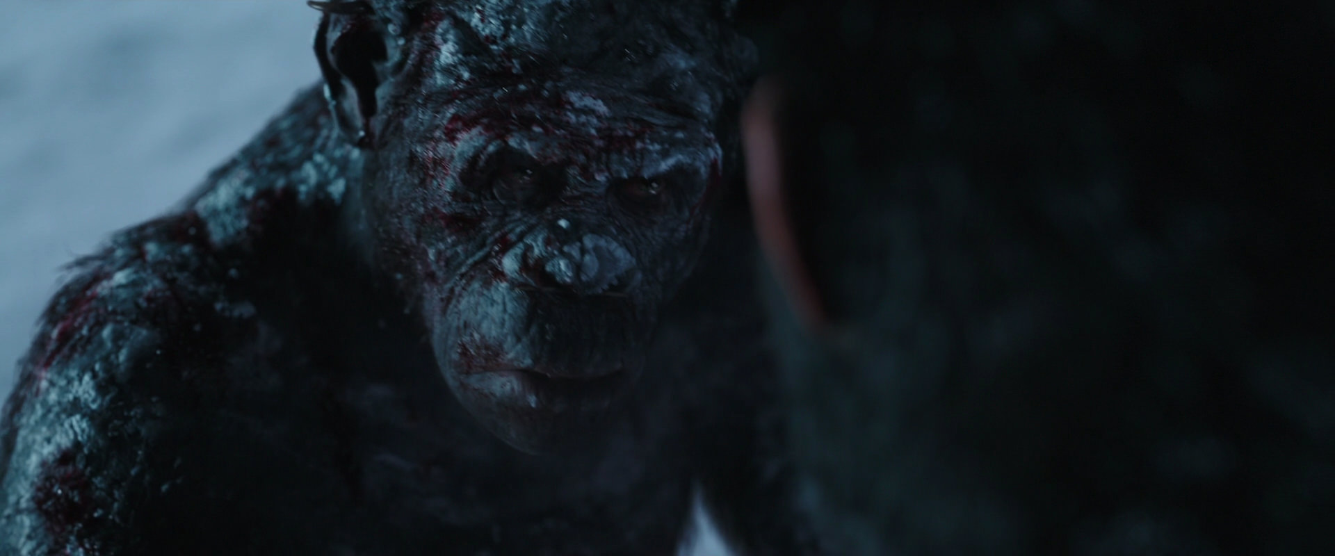 War for the Planet of the Apes (2017) HD screenshot 7112