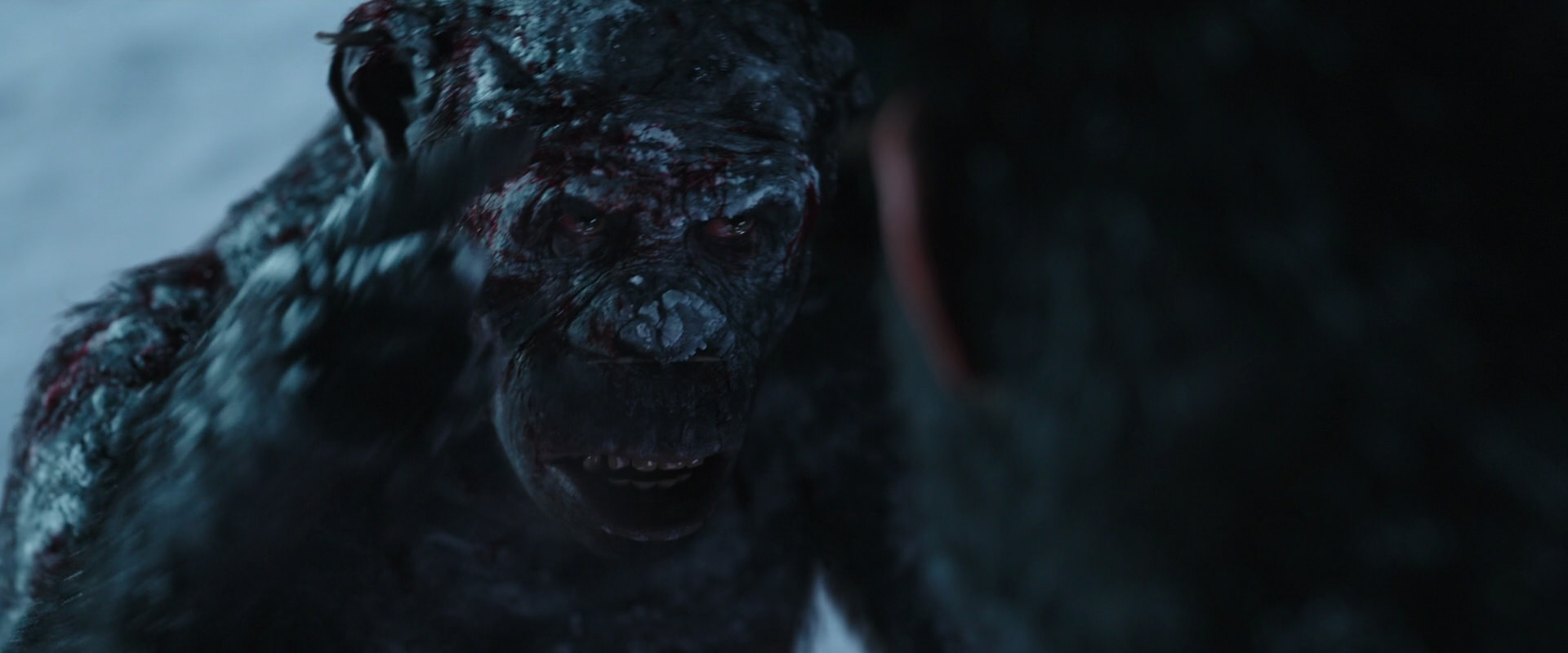 War for the Planet of the Apes (2017) movie still 7114