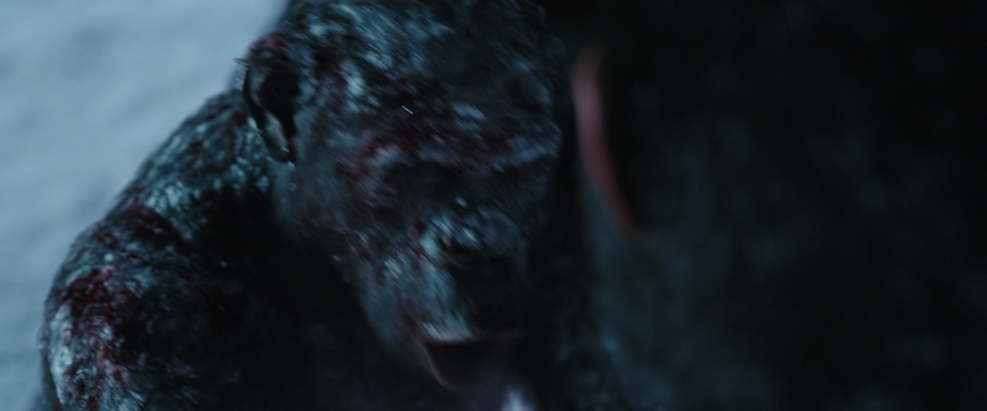 War for the Planet of the Apes (2017) screencap 7116