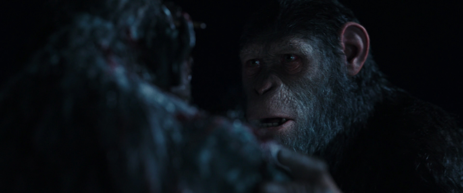 War for the Planet of the Apes (2017) movie still 7117