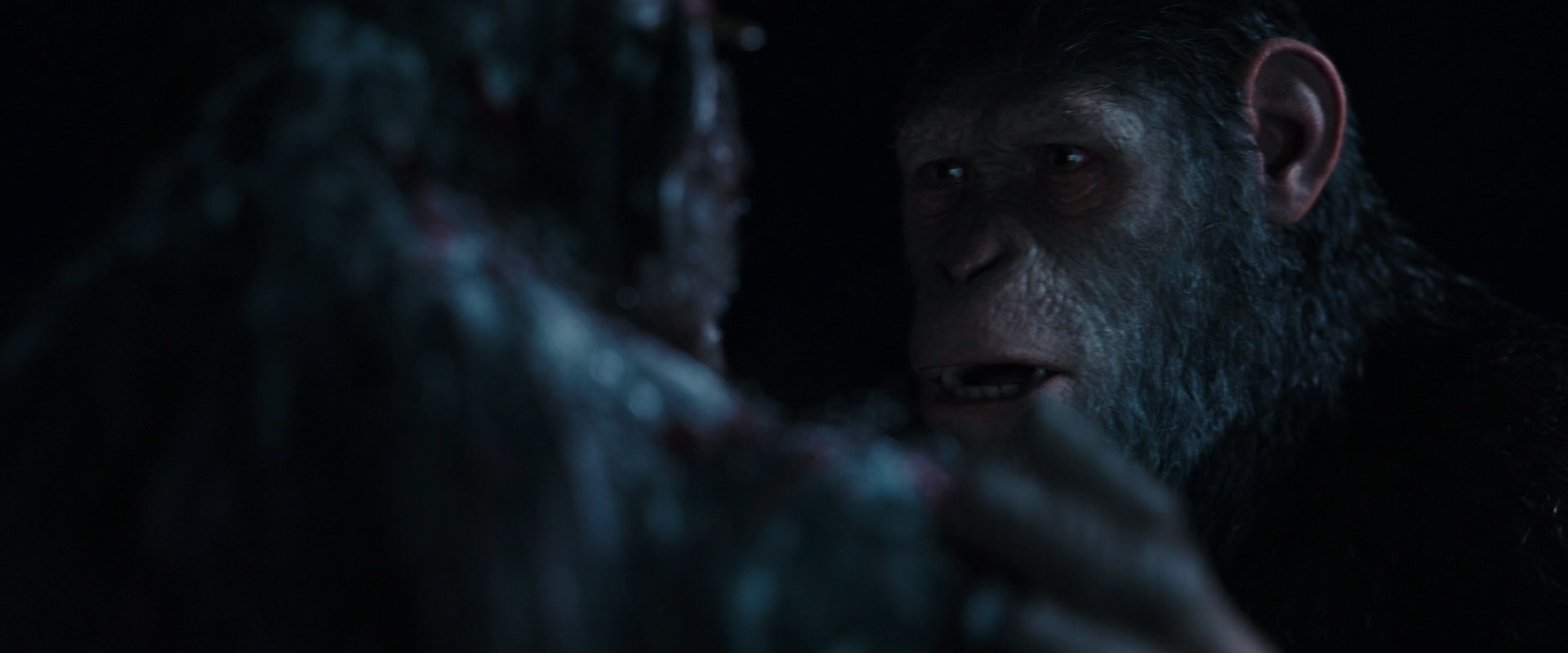 War for the Planet of the Apes (2017) HD screenshot 7118