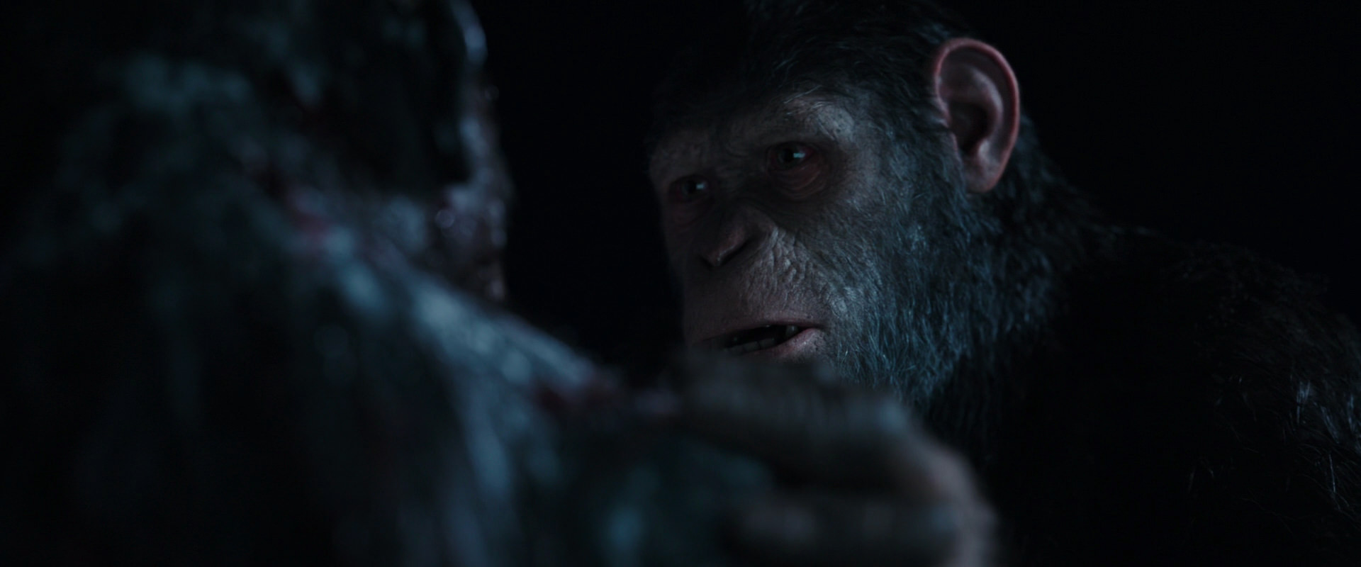 War for the Planet of the Apes (2017) screencap 7119