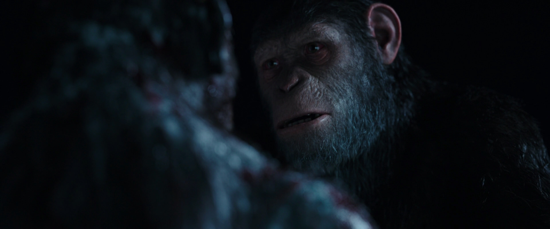 War for the Planet of the Apes (2017) movie still 7120