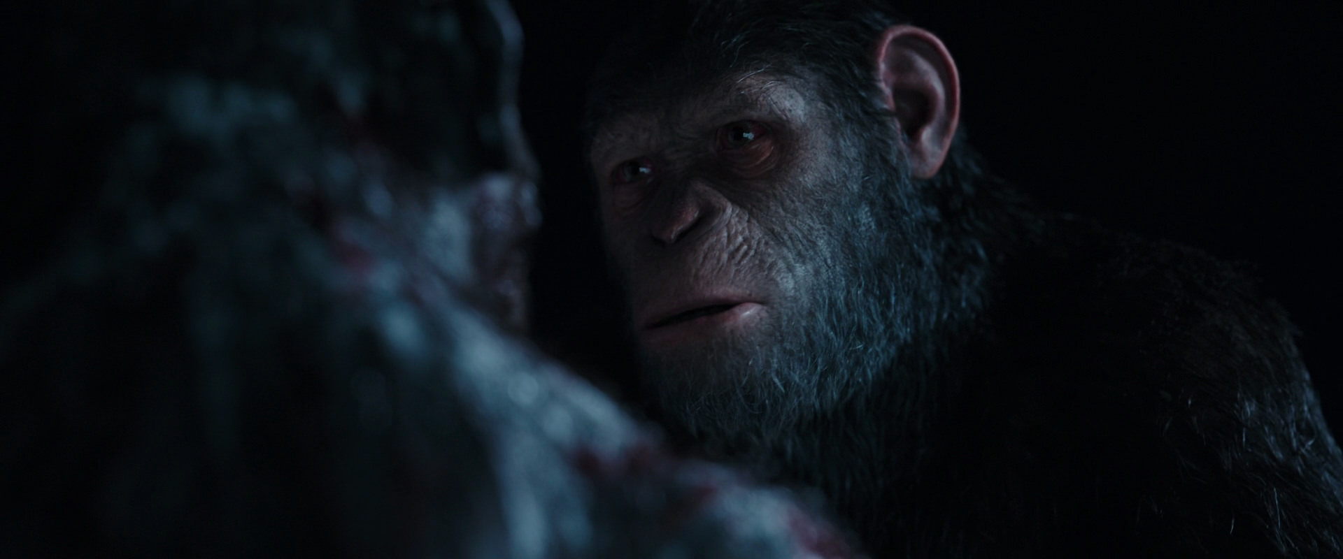 War for the Planet of the Apes (2017) HD screenshot 7121