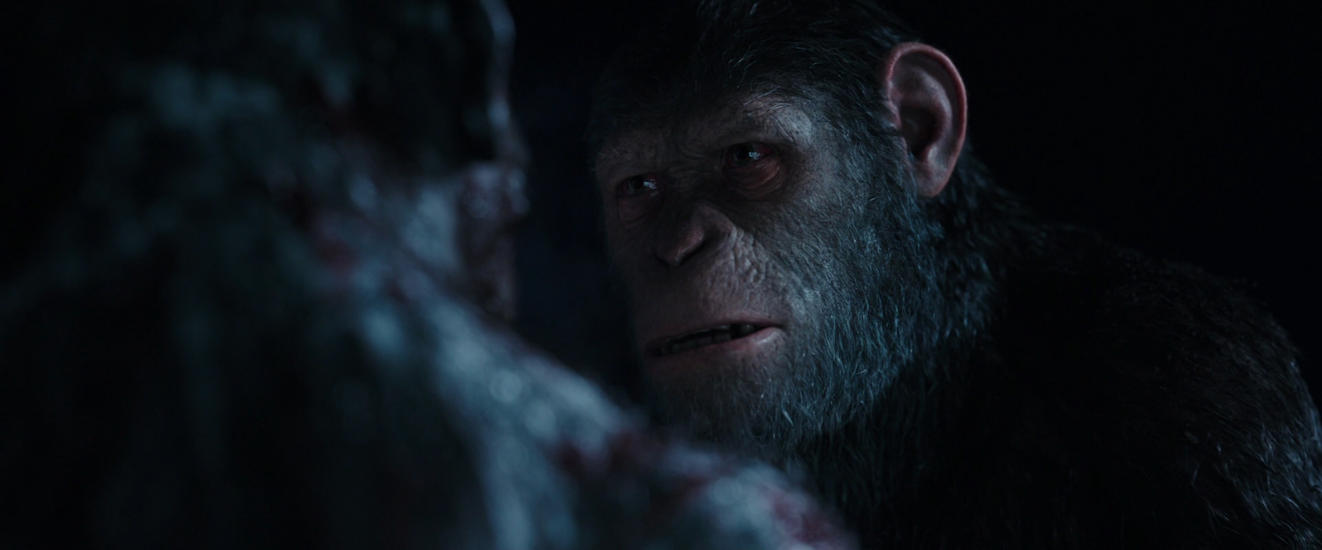 War for the Planet of the Apes (2017) screencap 7122