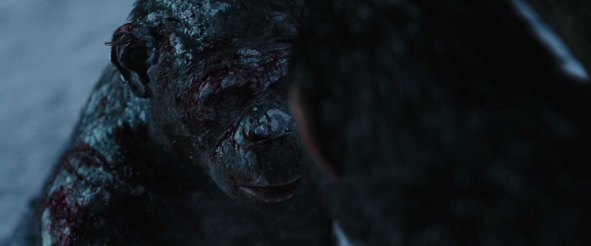 War for the Planet of the Apes (2017) movie still 7123