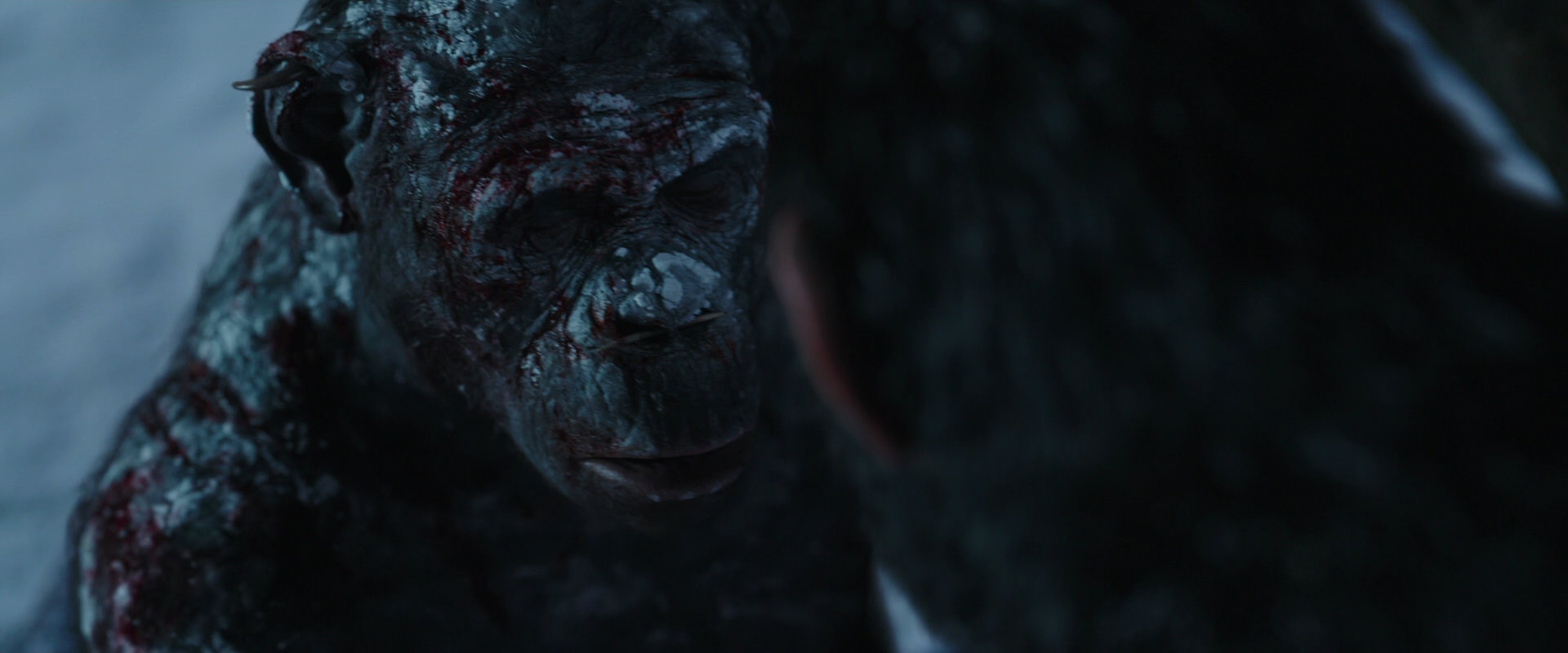 War for the Planet of the Apes (2017) HD screenshot 7124
