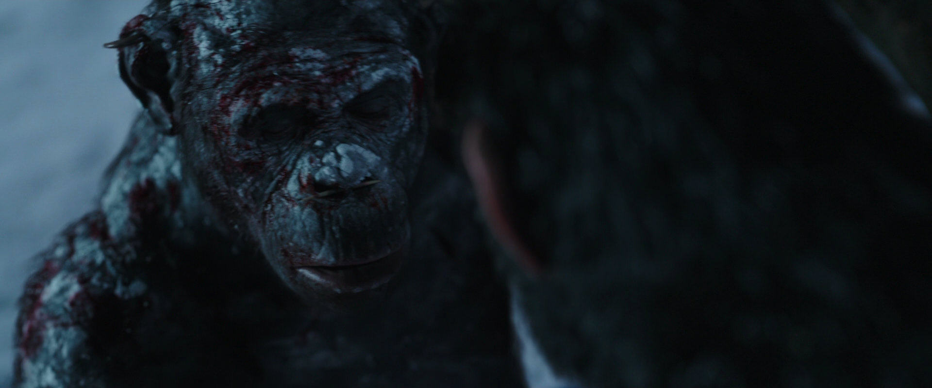 War for the Planet of the Apes (2017) screencap 7125
