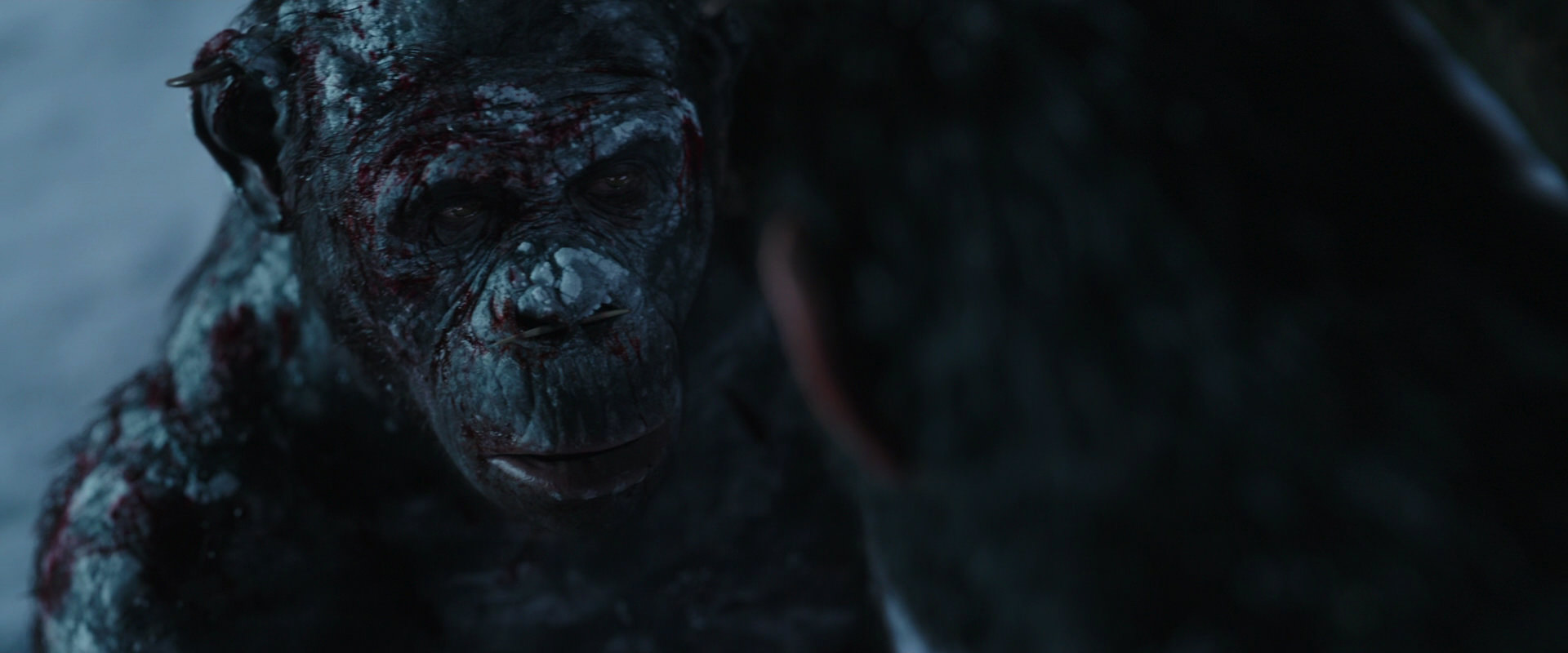 War for the Planet of the Apes (2017) movie still 7126