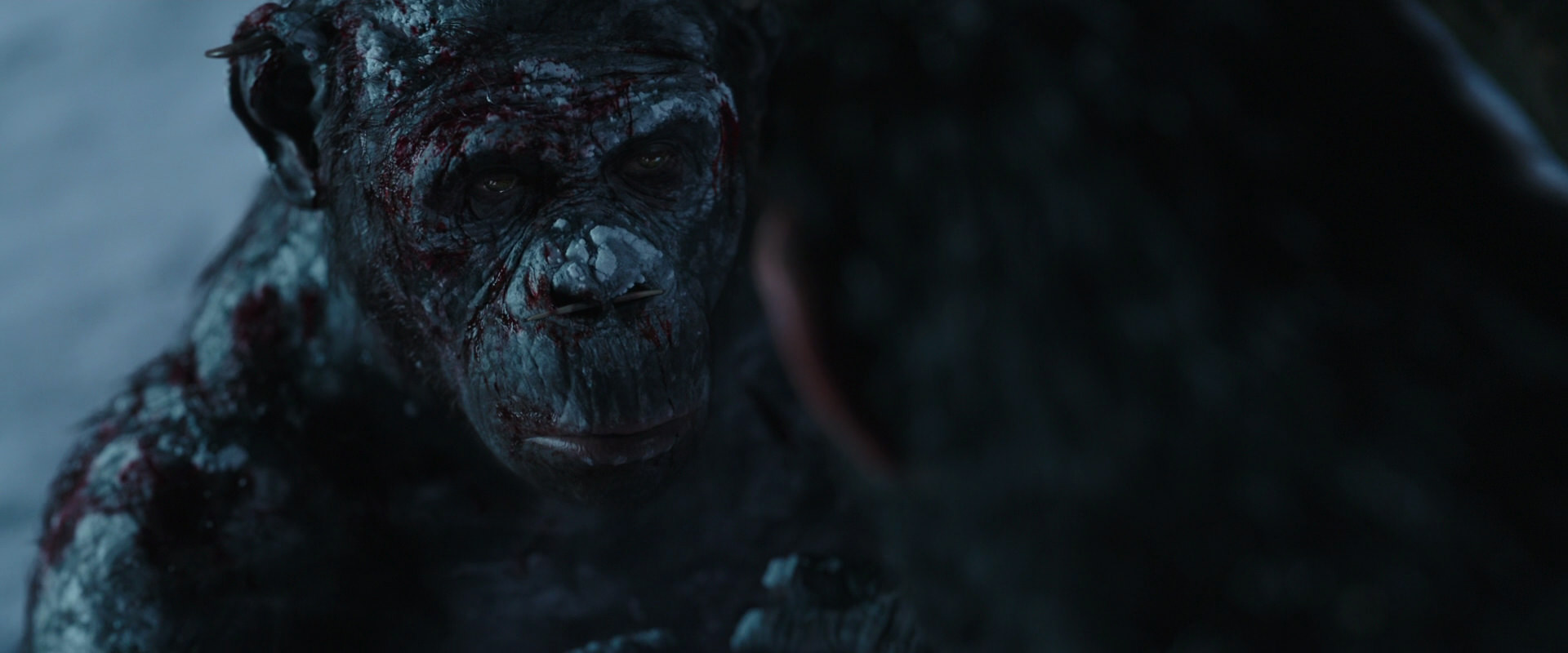 War for the Planet of the Apes (2017) screencap 7128