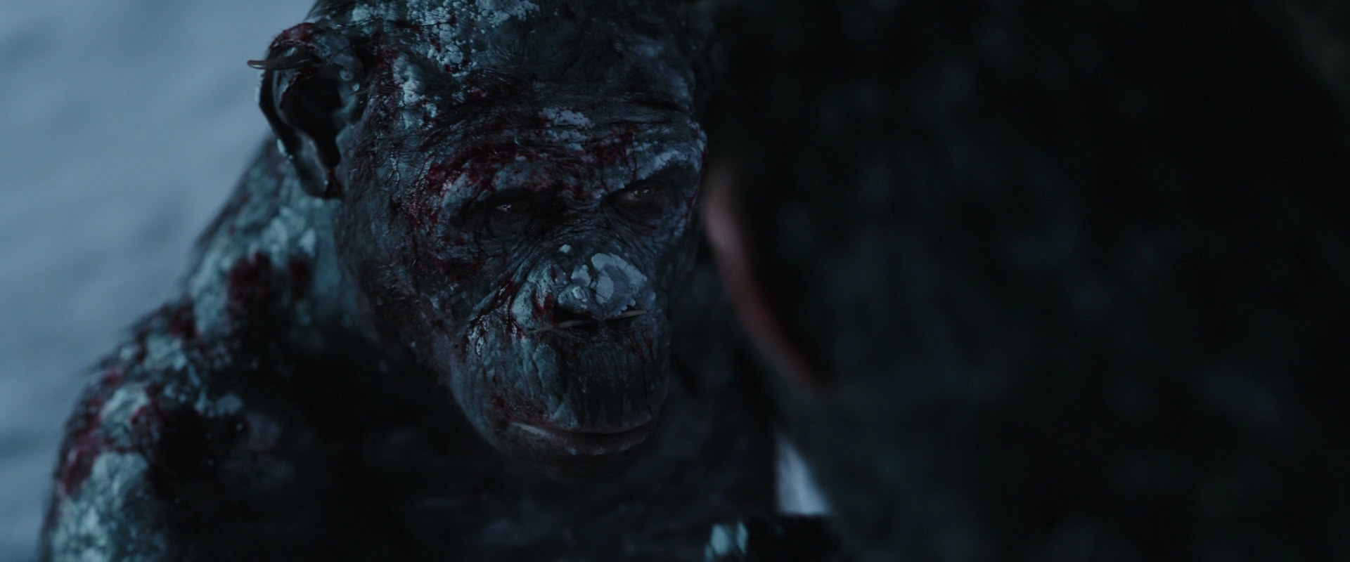 War for the Planet of the Apes (2017) movie still 7129