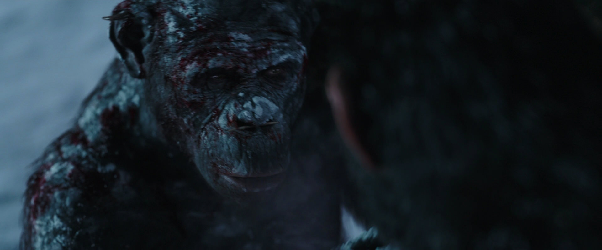 War for the Planet of the Apes (2017) screencap 7131