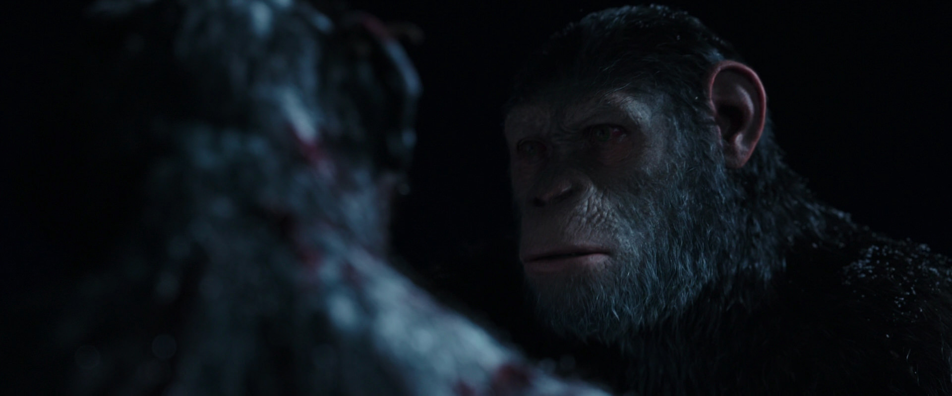 War for the Planet of the Apes (2017) movie still 7132