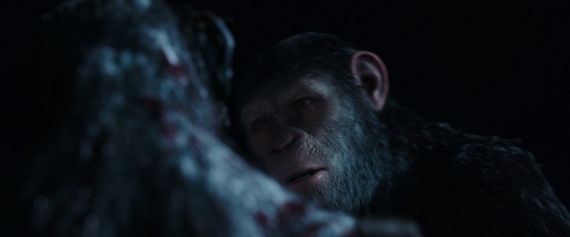War for the Planet of the Apes (2017) HD screenshot 7133