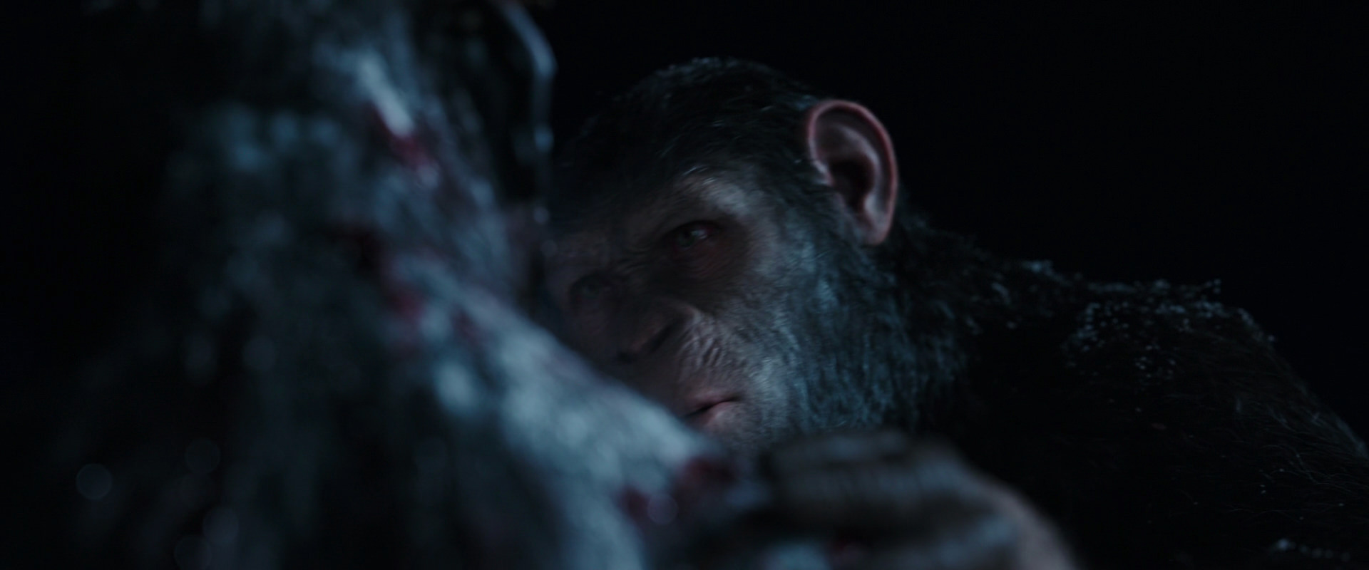 War for the Planet of the Apes (2017) screencap 7134