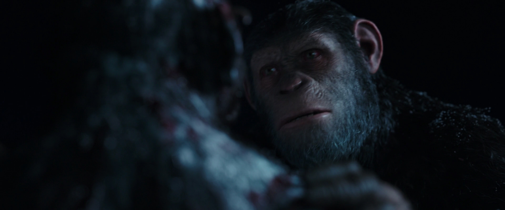 War for the Planet of the Apes (2017) movie still 7135