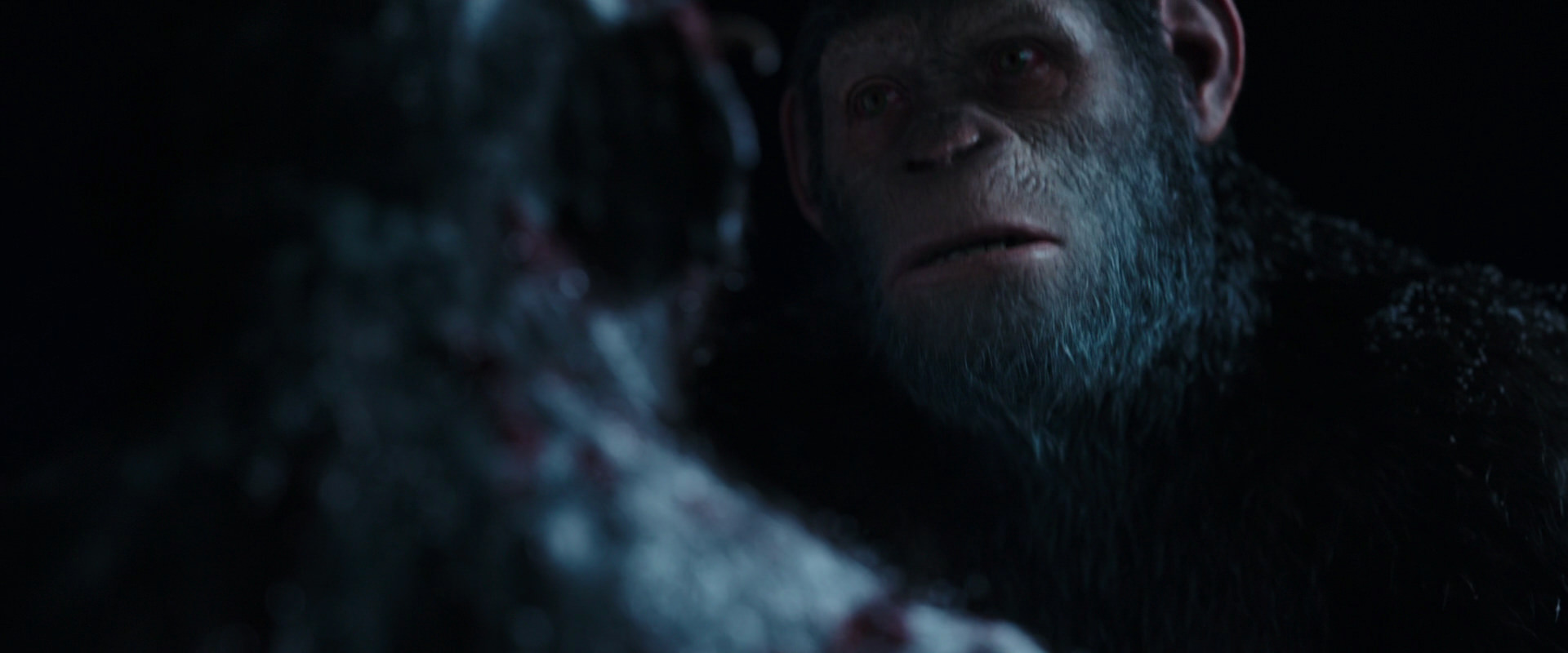 War for the Planet of the Apes (2017) screencap 7137