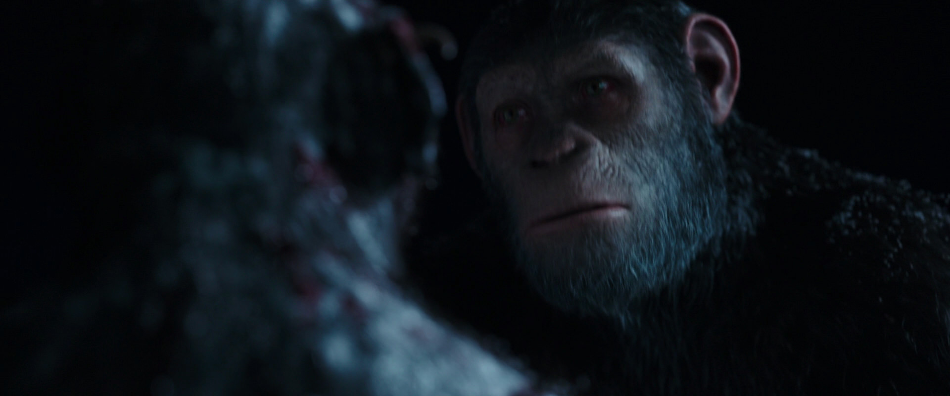 War for the Planet of the Apes (2017) movie still 7138