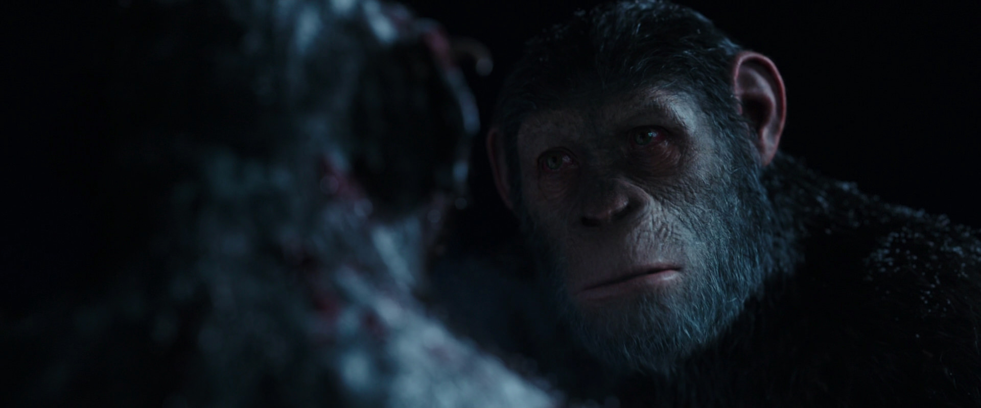 War for the Planet of the Apes (2017) HD screenshot 7139