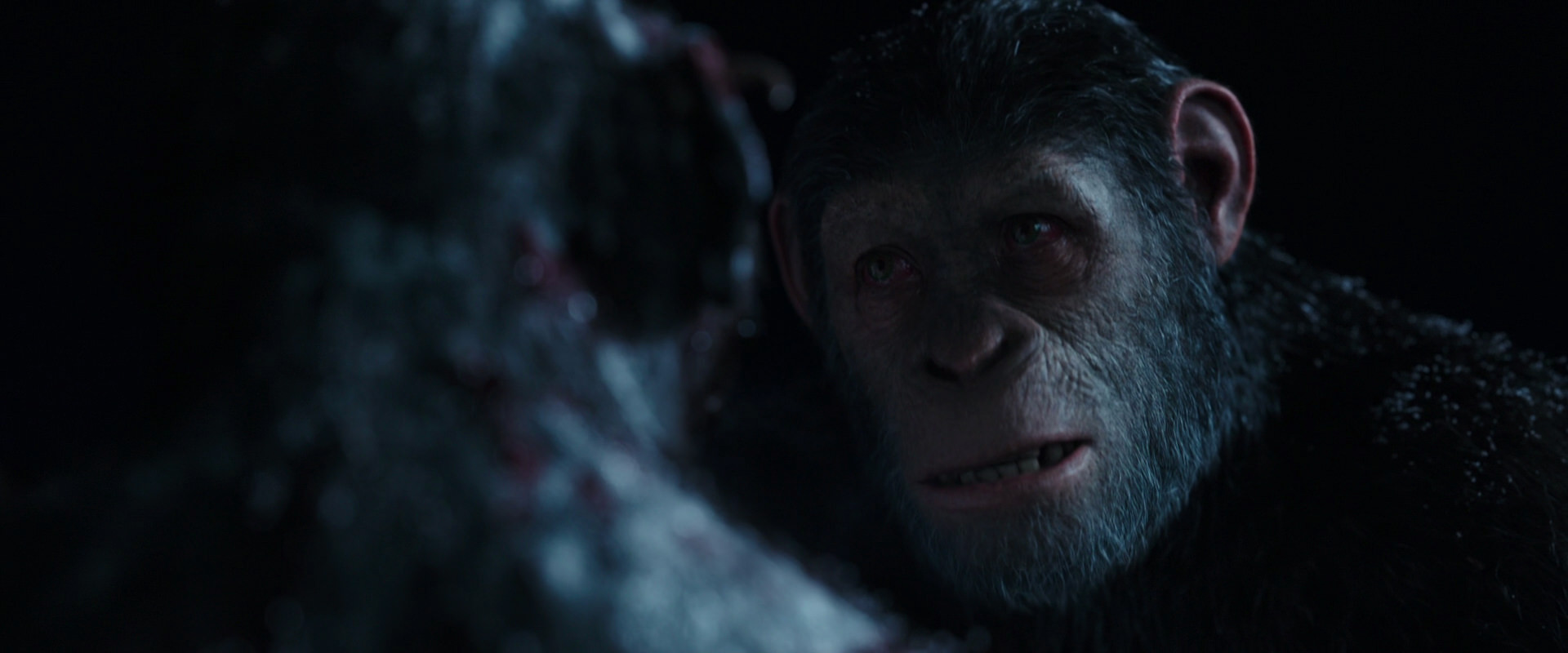 War for the Planet of the Apes (2017) screencap 7140