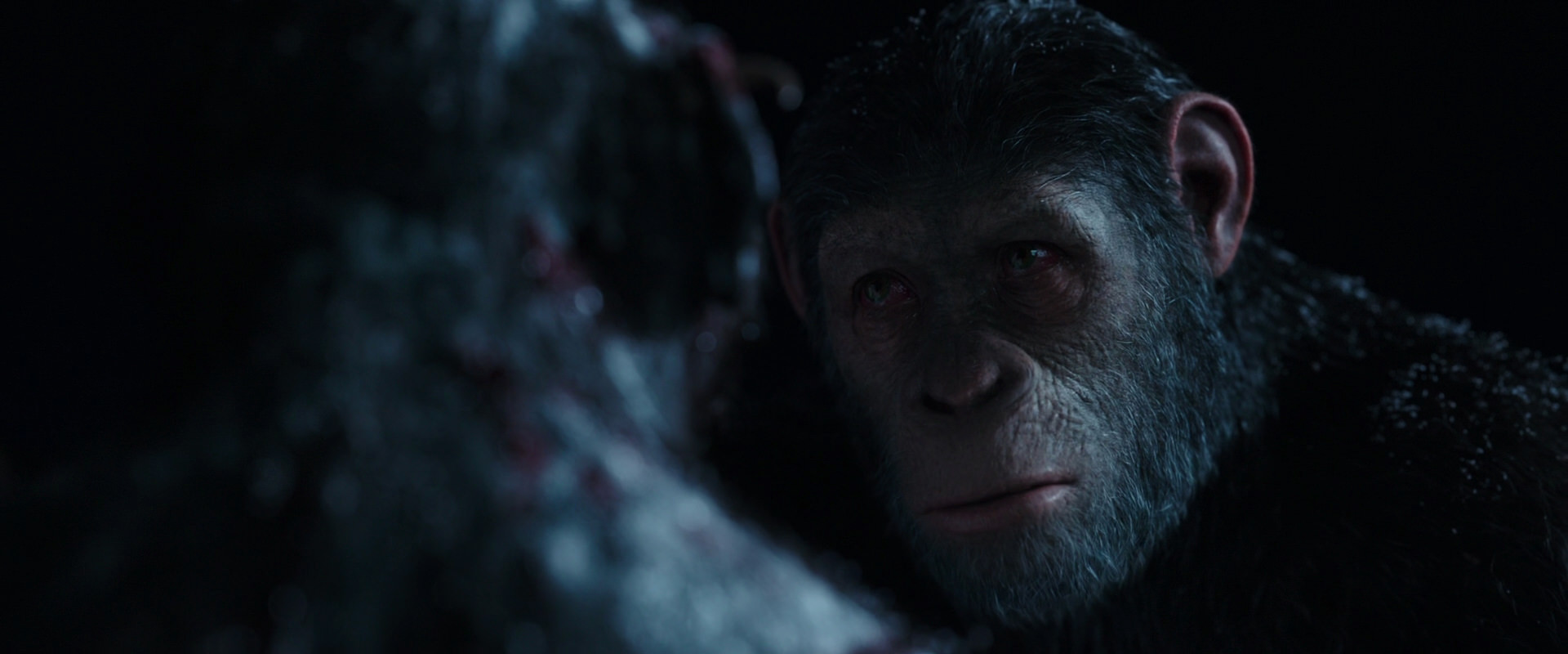 War for the Planet of the Apes (2017) movie still 7141