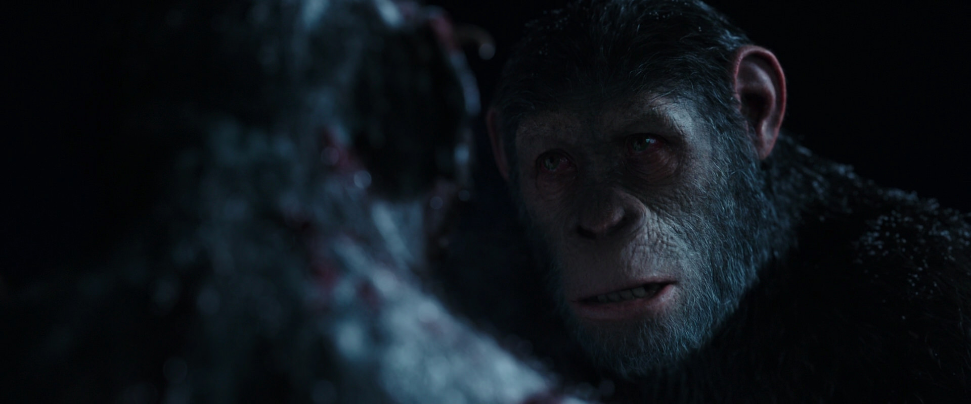 War for the Planet of the Apes (2017) HD screenshot 7142