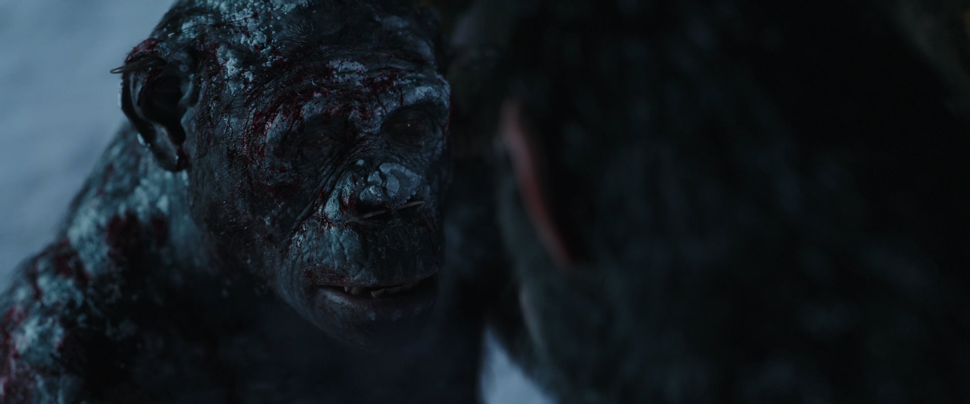 War for the Planet of the Apes (2017) screencap 7143