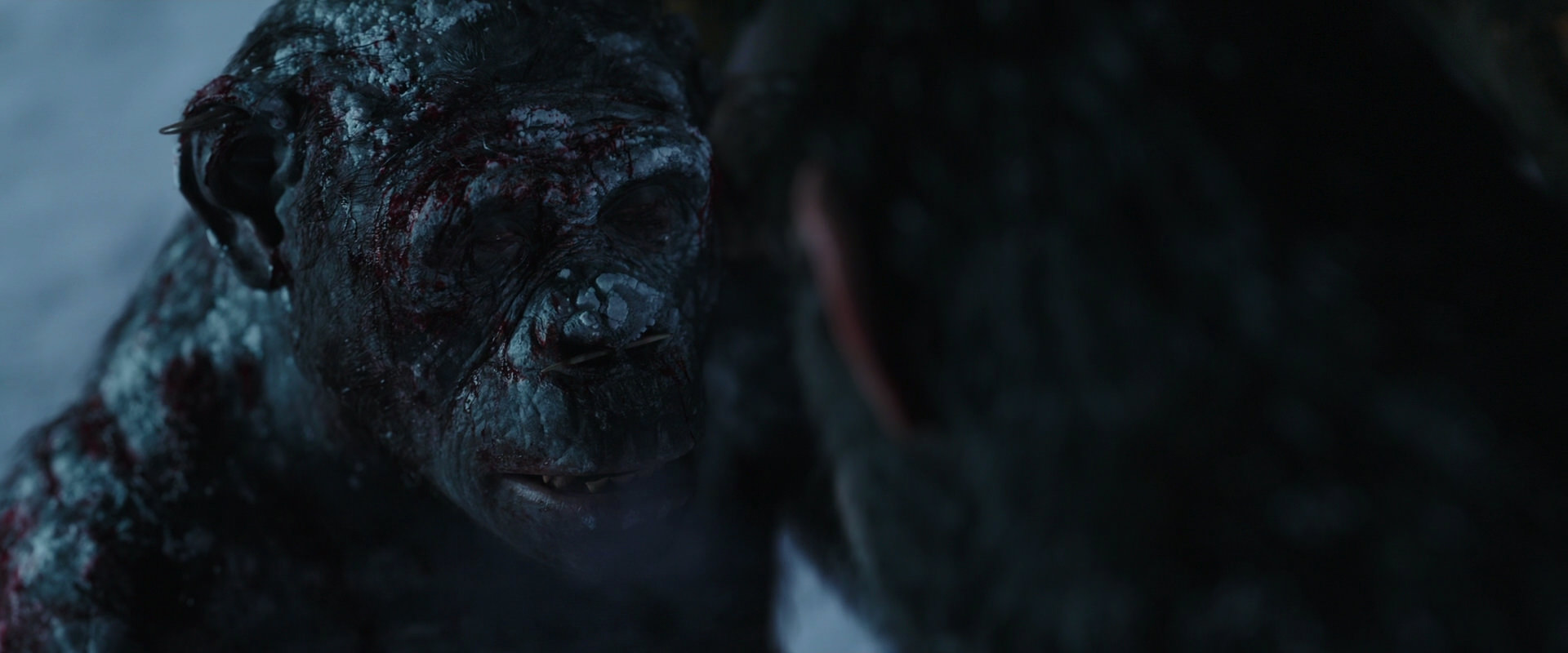 War for the Planet of the Apes (2017) movie still 7144