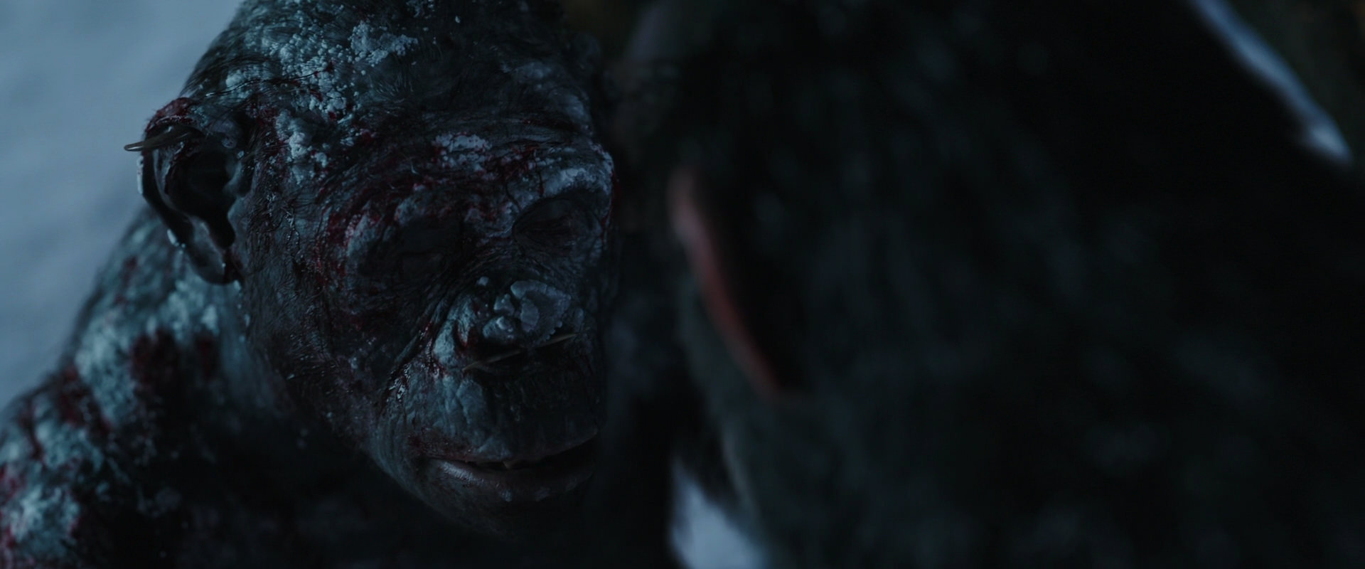 War for the Planet of the Apes (2017) screencap 7146