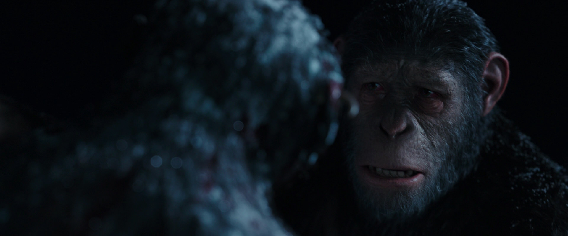 War for the Planet of the Apes (2017) movie still 7147