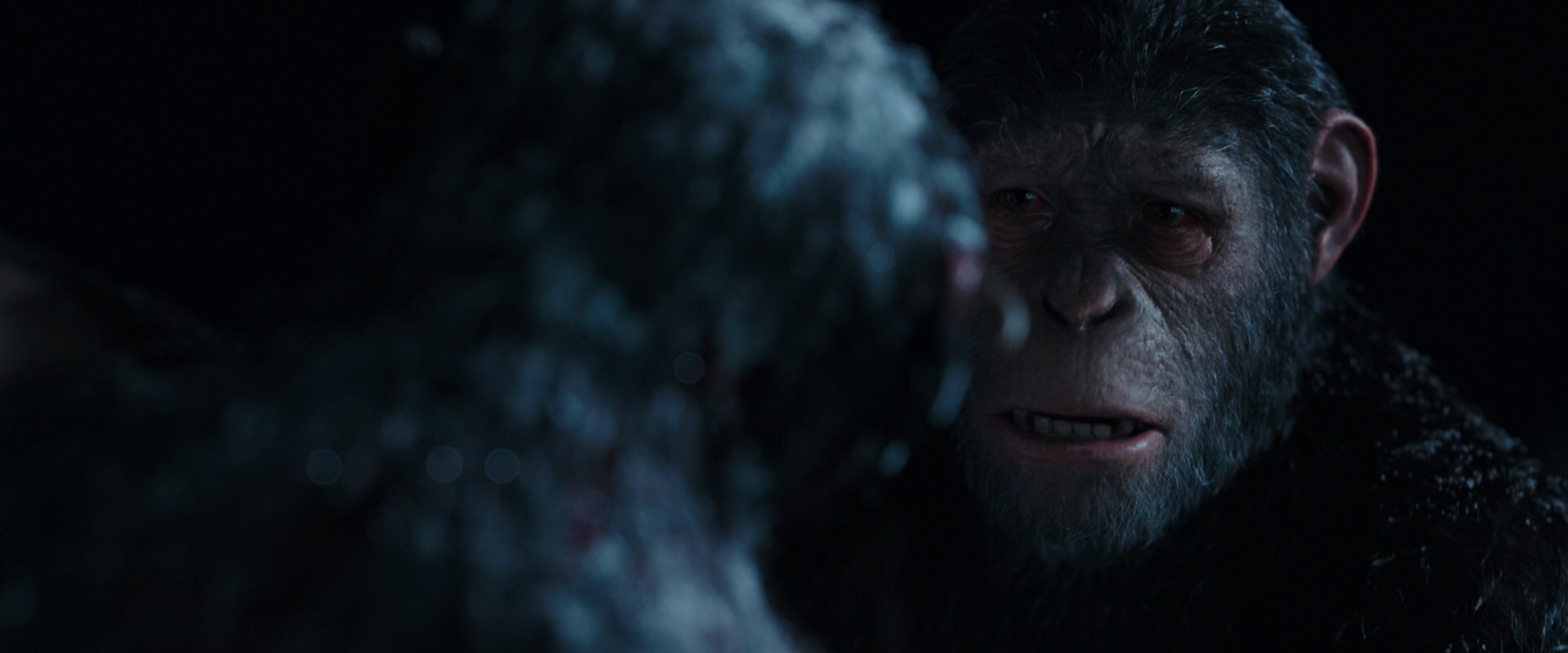 War for the Planet of the Apes (2017) HD screenshot 7148