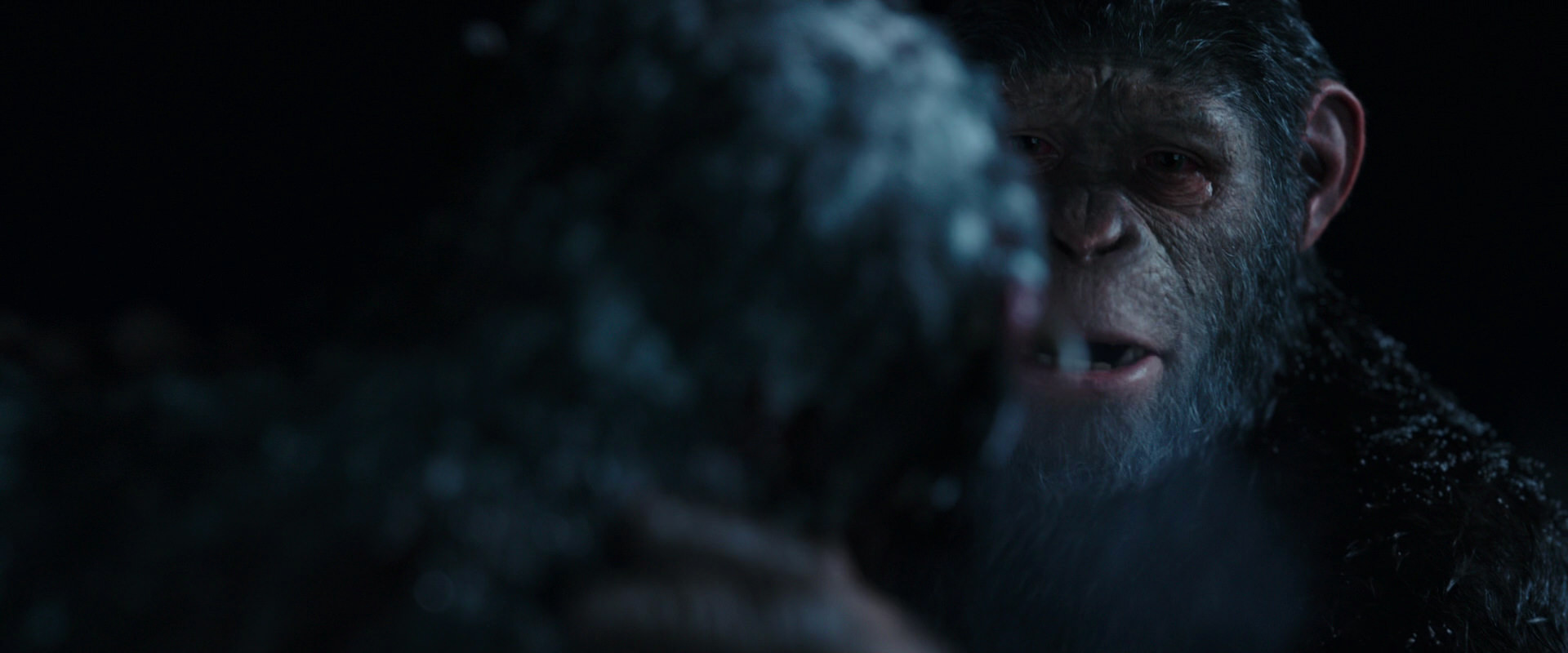 War for the Planet of the Apes (2017) screencap 7149