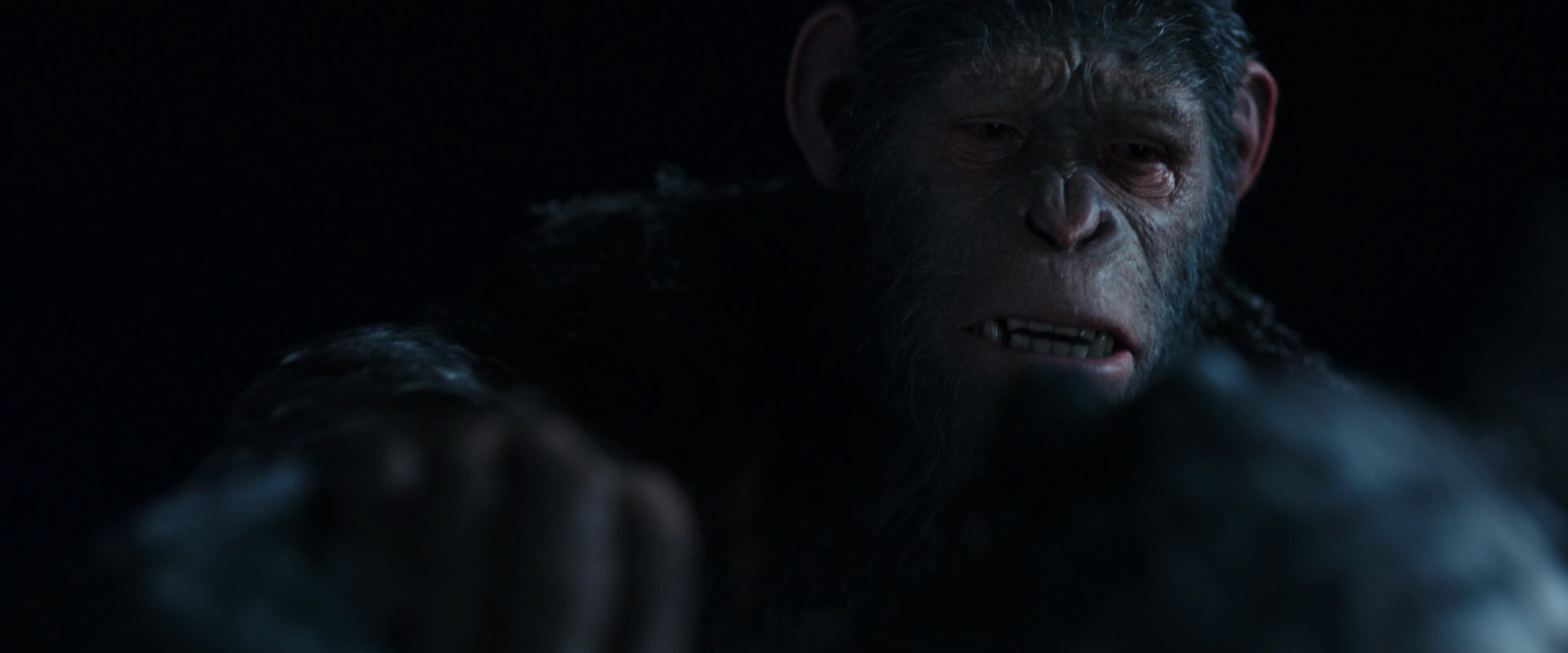 War for the Planet of the Apes (2017) screencap 7152