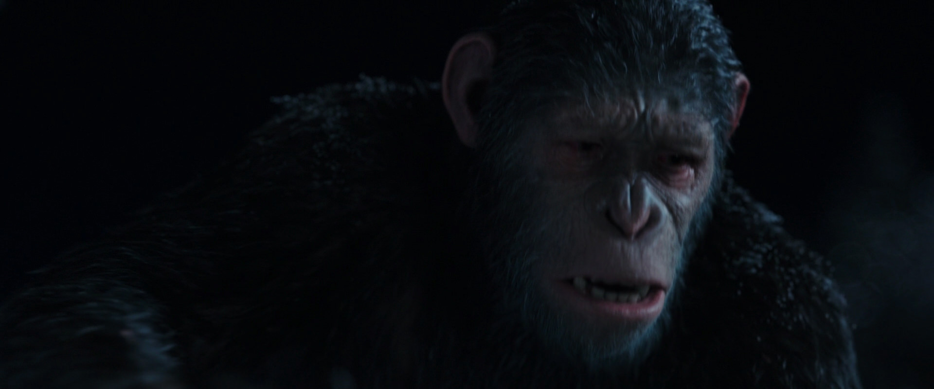 War for the Planet of the Apes (2017) movie still 7153