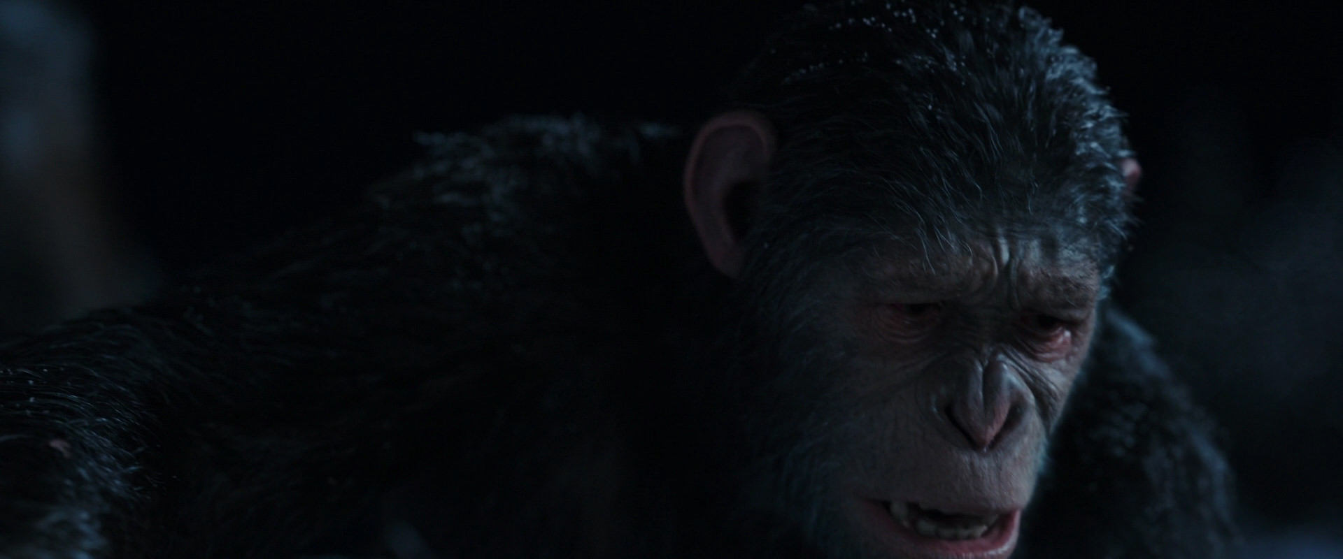 War for the Planet of the Apes (2017) HD screenshot 7154