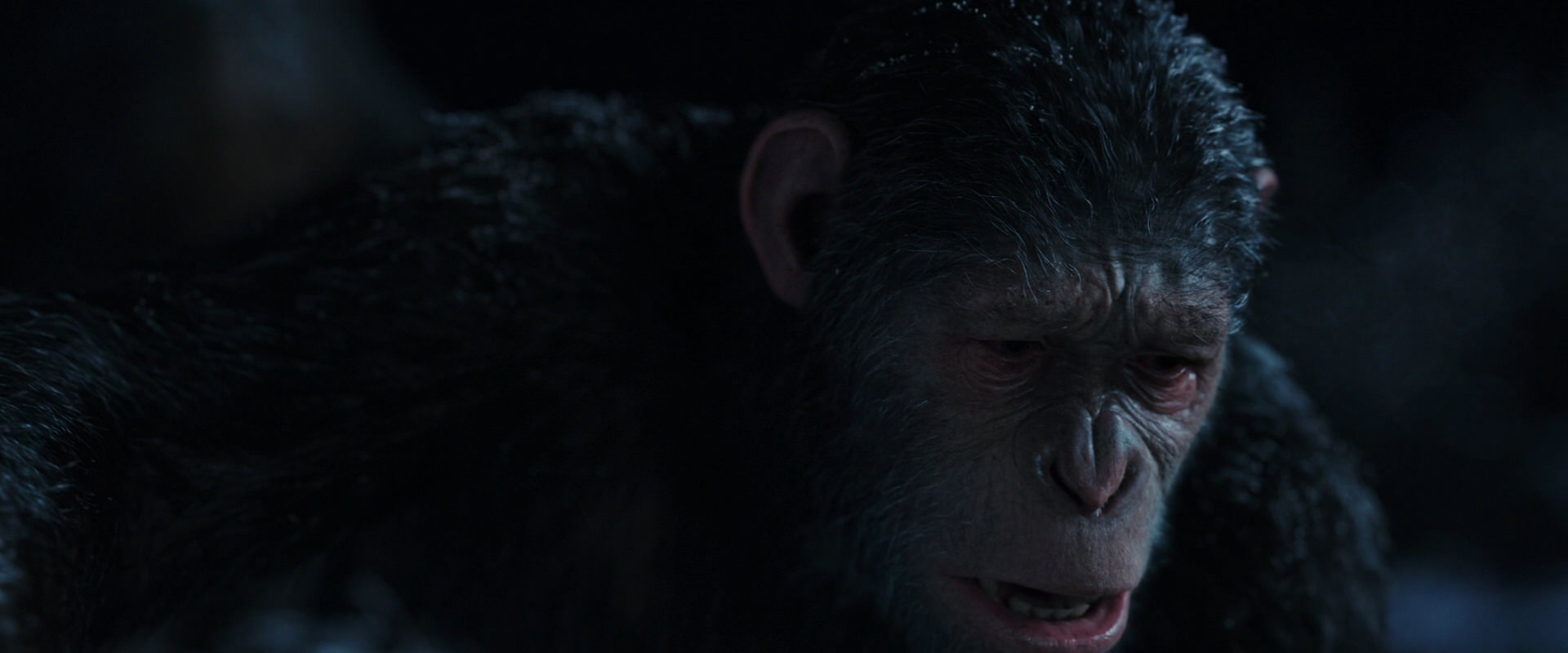 War for the Planet of the Apes (2017) screencap 7155