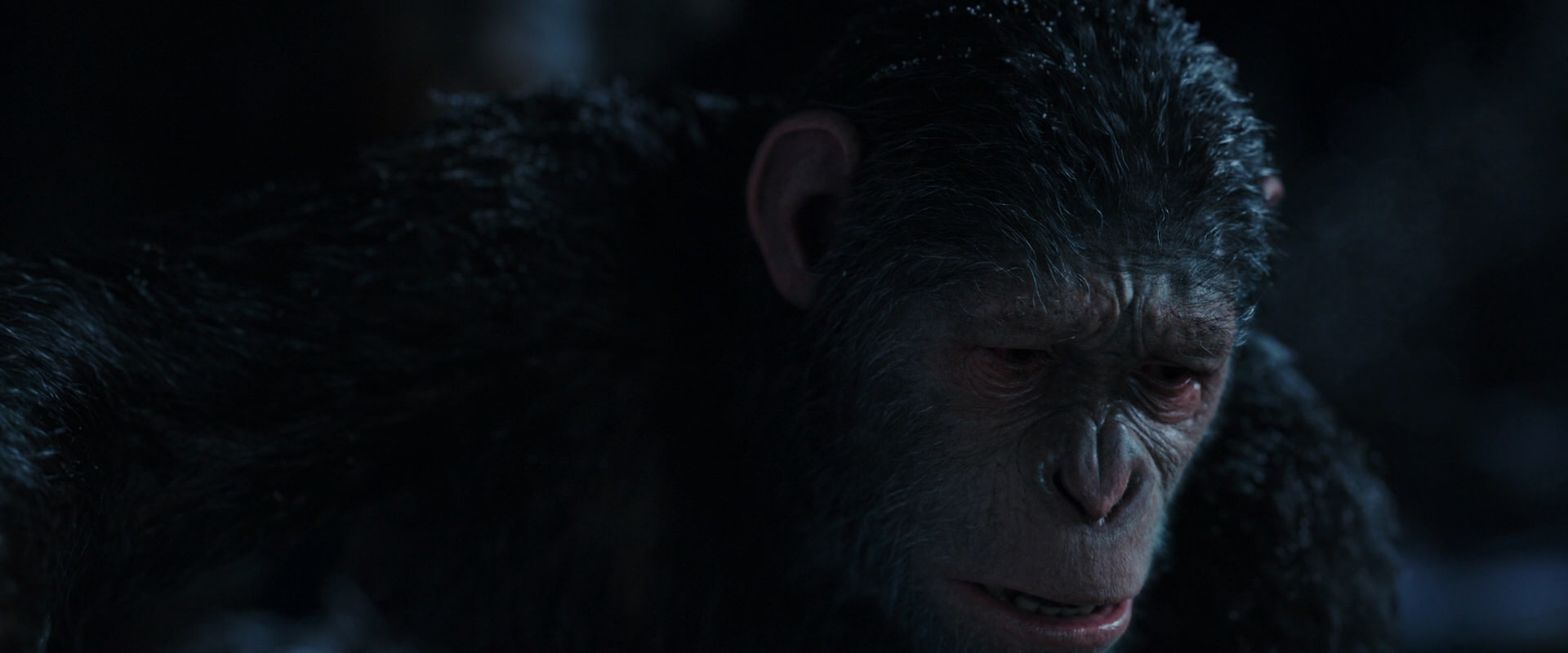 War for the Planet of the Apes (2017) movie still 7156