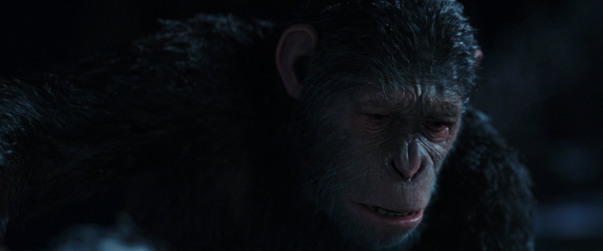 War for the Planet of the Apes (2017) HD screenshot 7157