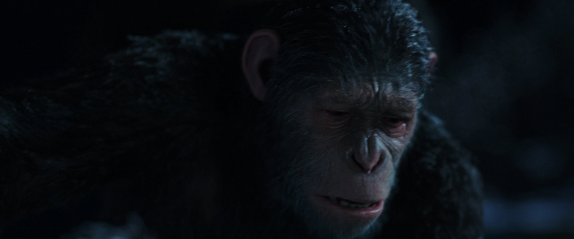 War for the Planet of the Apes (2017) screencap 7158