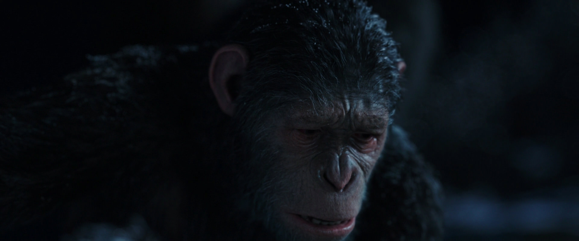 War for the Planet of the Apes (2017) movie still 7159
